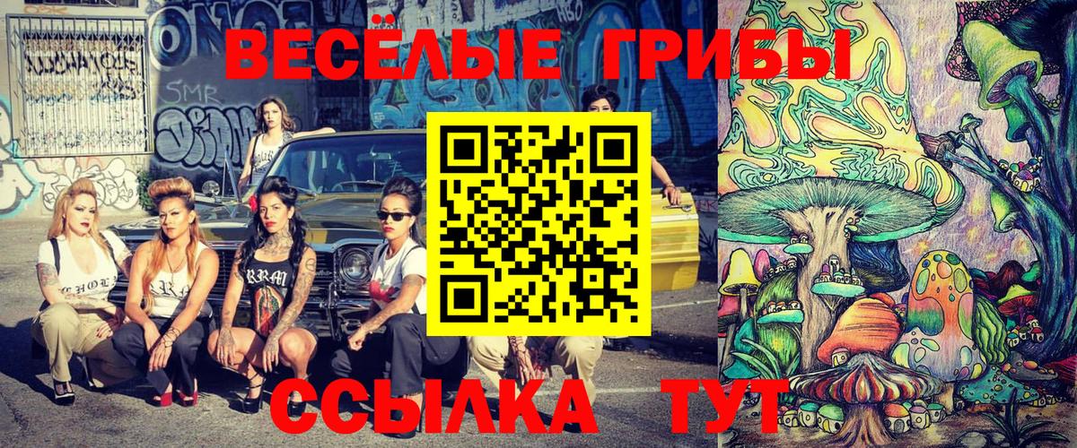 Советская Гавань  Псилоцибиновые грибы Cubensis  Вход с VPN 