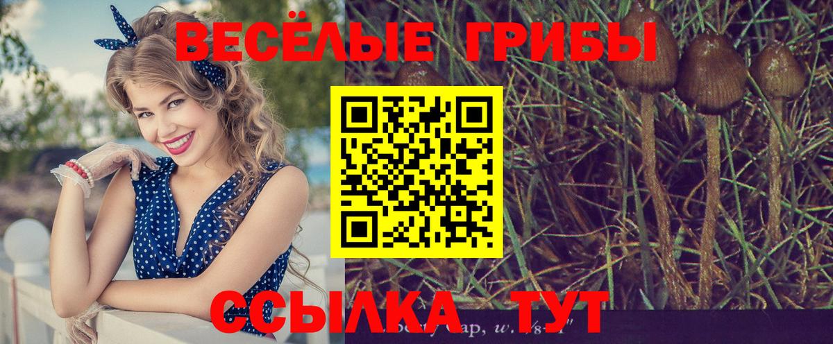 Галлюциногенные грибы MAGIC MUSHROOMS Советская Гавань